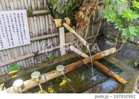 長建寺 閼伽水(京都市伏見区) 長建寺 閼伽水(京都市伏見区) 107832962