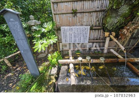 長建寺 閼伽水(京都市伏見区) 長建寺 閼伽水(京都市伏見区) 107832963