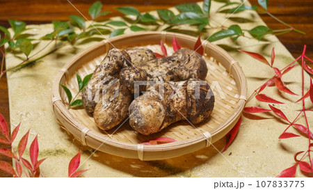 松茸 松茸 107833775