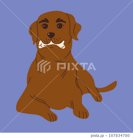 Dog with toys for brushing or massaging teeth. Dog dental health. Canine dental care and hygiene concept. Vector illustration Dog with toys for brushing or massaging teeth. Dog dental health. Canine dental care and hygiene concept. Vector illustration 107834780