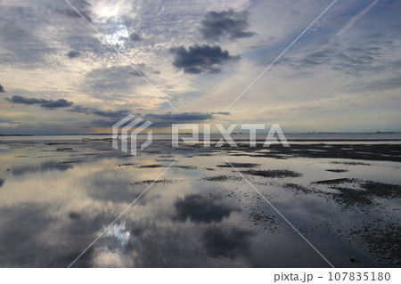 浸透実験池跡地の海岸 浸透実験池跡地の海岸 107835180