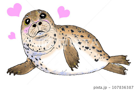恋するアザラシ 恋するアザラシ 107836387