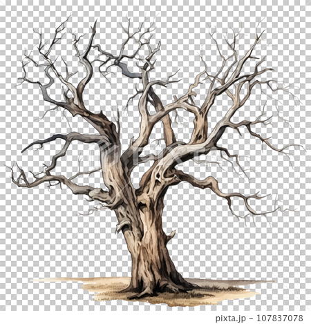 Scary dead withered tree watercolor illustration PNG Scary dead withered tree watercolor illustration PNG 107837078