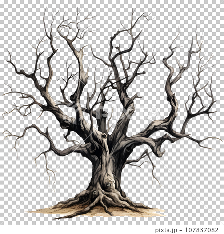Scary dead withered tree watercolor illustration PNG Scary dead withered tree watercolor illustration PNG 107837082