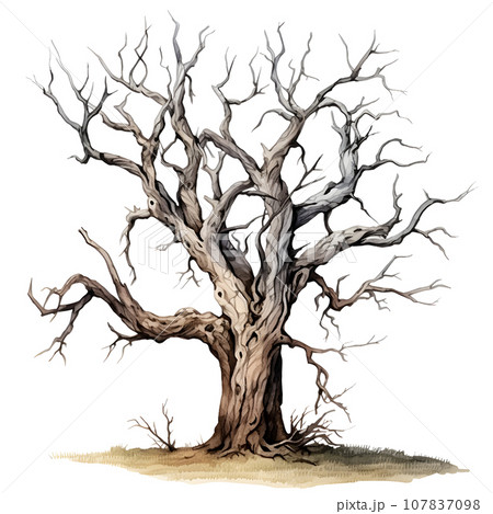 Scary dead withered tree watercolor illustration PNG Scary dead withered tree watercolor illustration PNG 107837098
