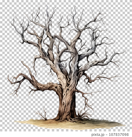 Scary dead withered tree watercolor illustration PNG Scary dead withered tree watercolor illustration PNG 107837098
