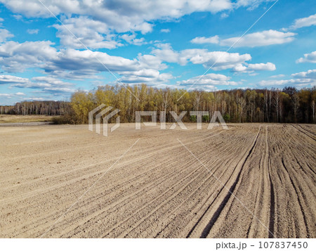 Arable field near the forest on a sunny day, aerial view. Agricultural field. Arable field near the forest on a sunny day, aerial view. Agricultural field. 107837450