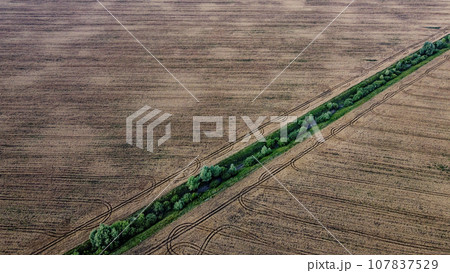 An old irrigation canal overgrown with trees among a wheat field, aerial view. Dry irrigation canal in the field, landscape. 107837529