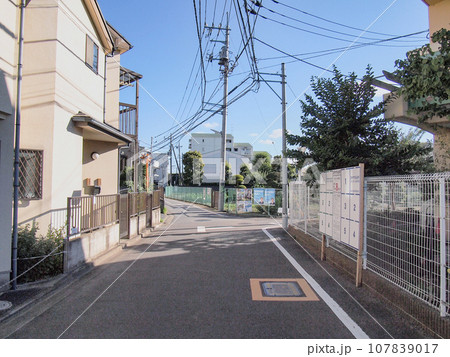 住宅街の道路。東京の道路。 住宅街の道路。東京の道路。 107839017