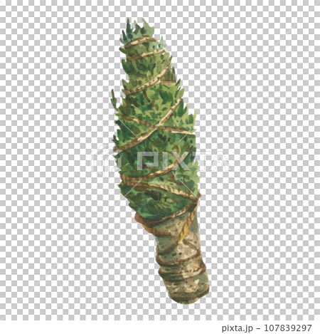 Bouquet of rosemary for smudging and fortune telling, painted in green watercolor on a white background. Suitable for printing on fabric, paper, scrapbooking holiday decoration, design Bouquet of rosemary for smudging and fortune telling, painted in green watercolor on a white background. Suitable for printing on fabric, paper, scrapbooking holiday decoration, design 107839297