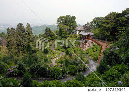 善峯寺 境内 京都市西京区 善峯寺 境内 京都市西京区 107839365
