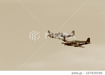 P-51Dマスタングの編隊飛行 107839390