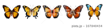 Colored butterfly vector set isolated on white 107840434
