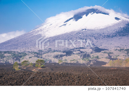 「岩手県」一面に冷え固まった黒い岩石が広がる焼走り溶岩流・八幡平 107841740