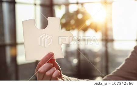 Business Woman holding two blank white puzzle 107842566