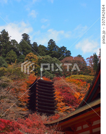談山神社 十三重塔 紅葉 談山神社 十三重塔 紅葉 107842664