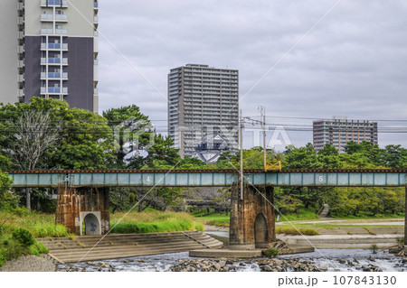 南西から見る岡崎城（愛知県） 107843130