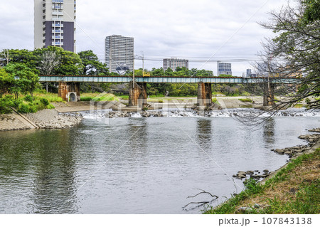 南西から見る岡崎城(愛知県) 南西から見る岡崎城(愛知県) 107843138