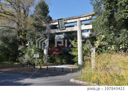 梨木神社　一の鳥居　京都市上京区 107843421