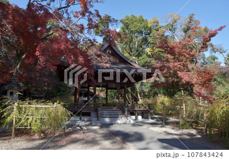 梨木神社　拝殿　京都市上京区 107843424