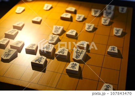 将棋(王座戦第4局投了棋譜) 将棋(王座戦第4局投了棋譜) 107843470