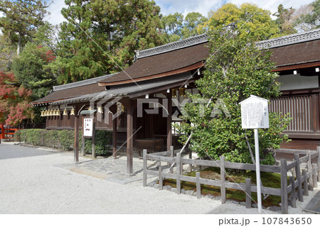 下鴨神社 三井神社 京都市左京区 下鴨神社 三井神社 京都市左京区 107843650