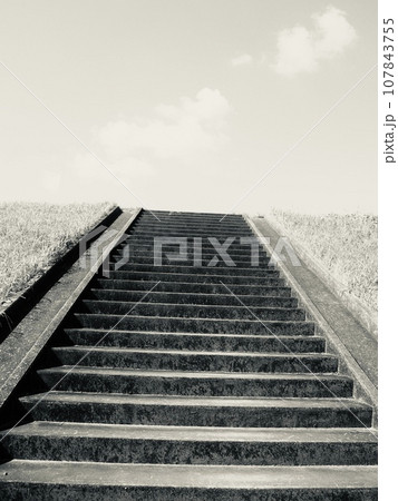 青空に続く階段 青空に続く階段 107843755