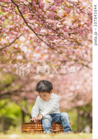桜の下で座る男の子 107843844