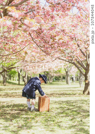 入園式前の桜での写真 107844048