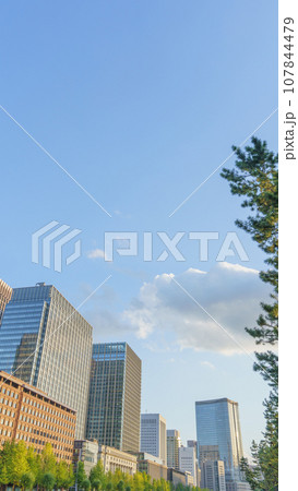 【東京】夕暮れ時の東京丸の内・皇居外苑のオフィス街 【東京】夕暮れ時の東京丸の内・皇居外苑のオフィス街 107844479