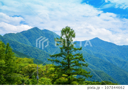 三峯神社参道からの眺め　雲取山　白岩山　真夏の風景　秩父市　 107844662