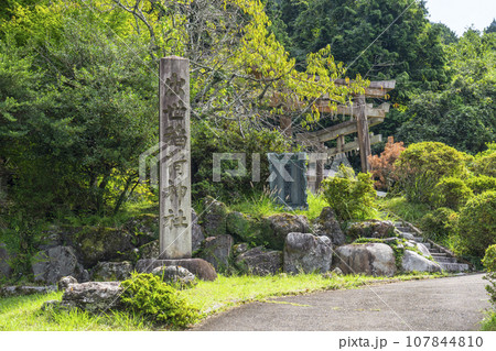 京都大原　出世稲荷神社　新緑 107844810