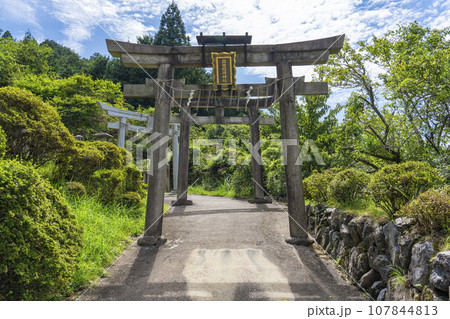京都大原　出世稲荷神社　連なる石鳥居 107844813