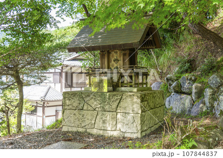 出世稲荷神社　大神宮（ 京都市左京区大原） 107844837