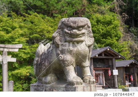 京都大原　出世稲荷神社　狛犬 107844847