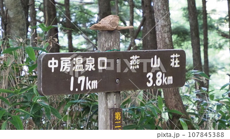 長野県 燕岳 登山道 標識 長野県 燕岳 登山道 標識 107845388