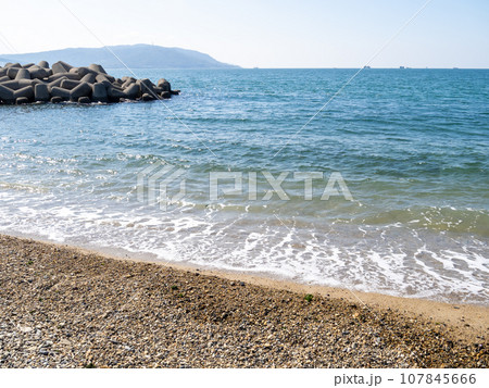 西舞子海岸(神戸市垂水区)。 107845666