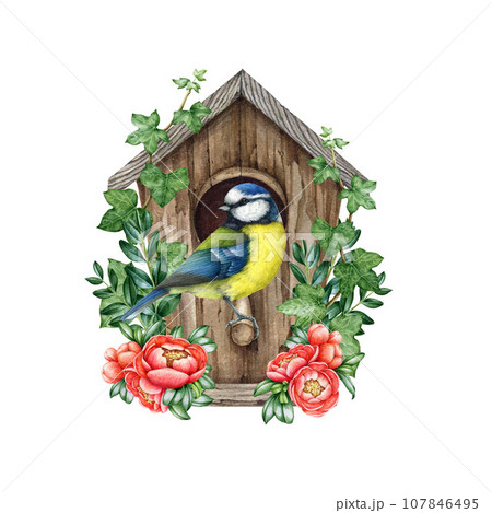 Cute little blue tit bird on the birdhouse with spring flowers decor. Watercolor illustration. Cozy spring decoration. Blue tit nesting in the wooden birdhouse, blooming spring flowers, green leaves 107846495
