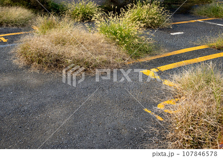 放置されて雑草の生えた駐車場 107846578