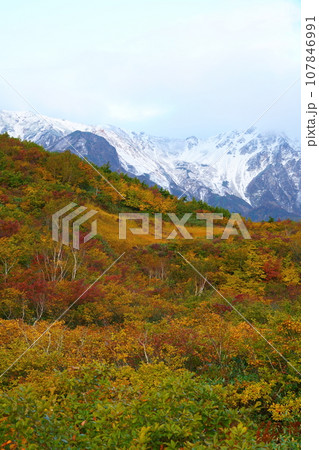 秋の黒菱平の紅葉 秋の黒菱平の紅葉 107846991