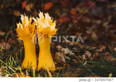 Yellow rubber boots with yellow leaves on a wooden pallet 107847487