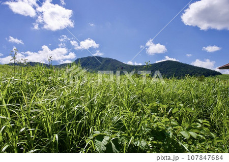 長者原ビジターセンターの風景（大分県） 107847684