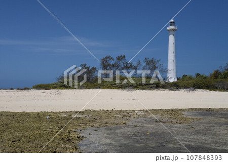 ニューカレドニア　アメデ島　アメデ灯台 107848393