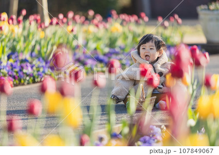 チューリップ畑で遊ぶ男の子 チューリップ畑で遊ぶ男の子 107849067