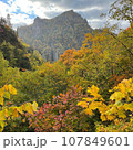 紅葉の豊平峡 107849601