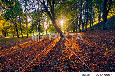 Autumn landscape in Birstonas, Lithuania Autumn landscape in Birstonas, Lithuania 107849667