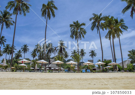 Beautiful tropical island with beach and coconut palm tree, freedom beach phuket 107850033