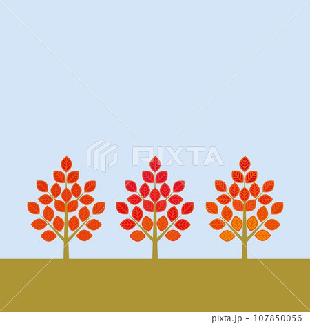 樹木　葉っぱ　紅葉　秋イメージ 107850056