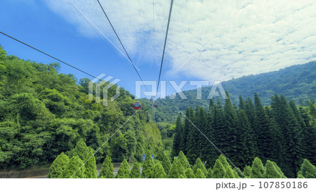 日月潭ロープウェイ:青々とした森の空中散歩 / Sun Moon Lake, Taiwan 日月潭ロープウェイ:青々とした森の空中散歩 / Sun Moon Lake, Taiwan 107850186