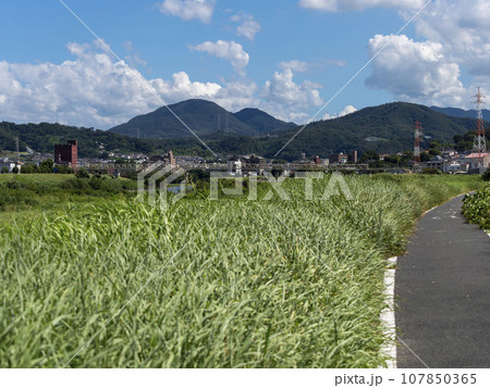 柏原市を流れる大和川沿いの風景 107850365